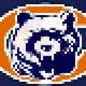 Chicago Bears Football