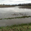 Warmer temps and increasing rainfall expected for Illinois over next few weeks