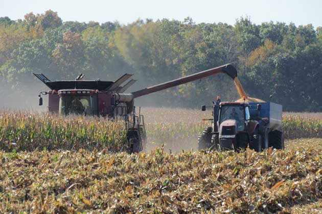 Corn and soybean yields in Illinois are showing positive numbers | WJBC ...