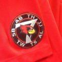 Illinois State unveils commemorative patch to honor plane crash victims