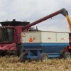 USDA crop report shows harvest progress in Illinois