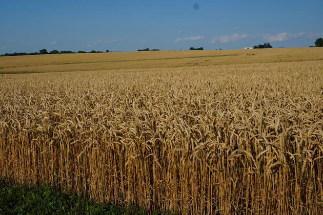 Best in McLean County agriculture awarded | WJBC AM 1230