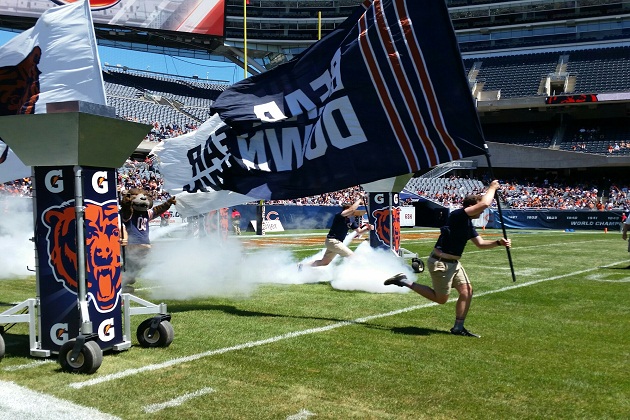 Soldier Field flags