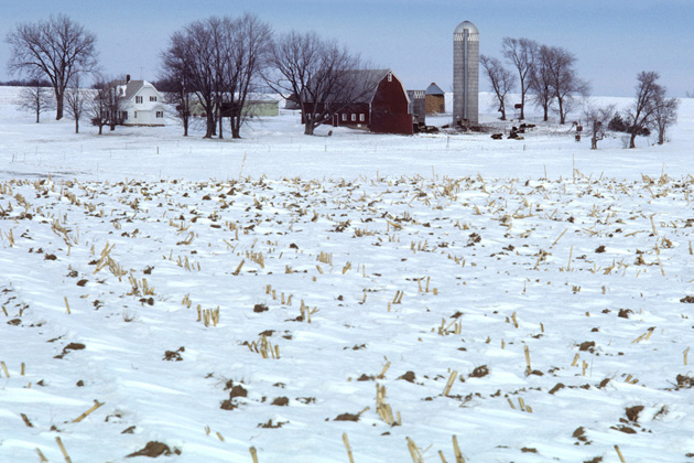 Snowy farmland